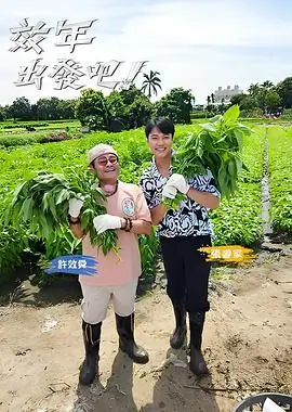 《周日厨房》条目配图，厨房台面与像素餐盘